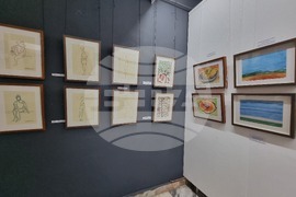 Ловеч - Бруно Жорж Давид - изложба