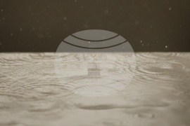 Дъжд над столицата