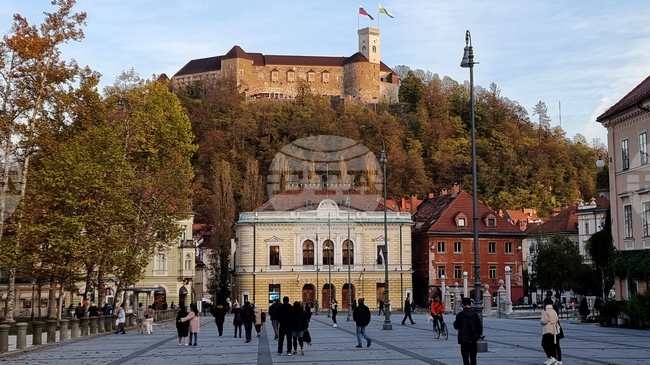 Словенската президентка прекрати консултациите за съставяне на правителство и прехвърли въпроса към парламента