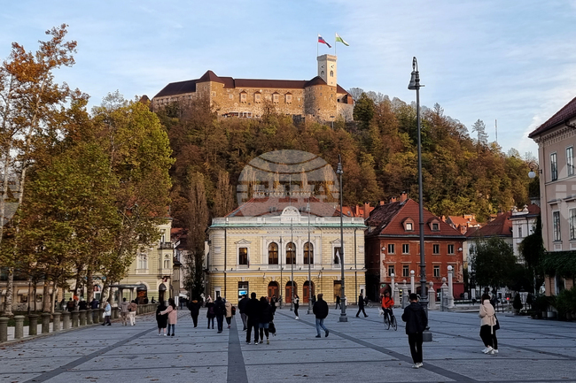 В Словения започва кампания за референдум срещу наскоро приетия закон за евтаназията