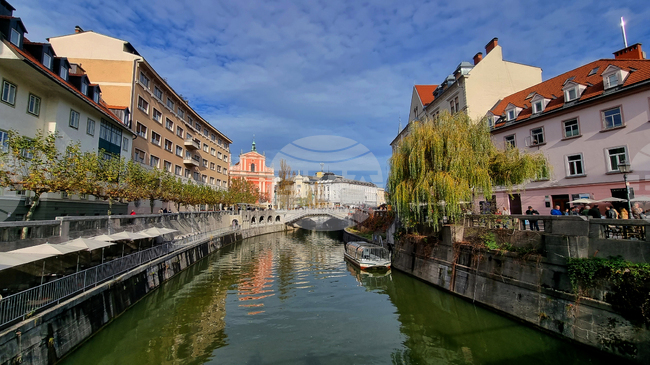 Словенците ще могат да предадат на полицията незаконното си оръжие без санкции до края на януари
