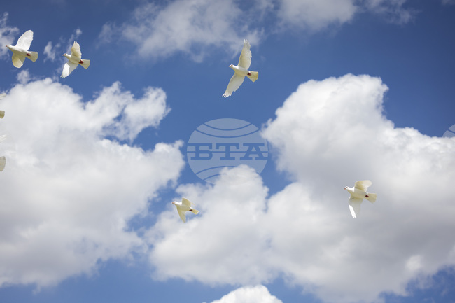 „Мир“ е думата на 2025 г. за децата във Великобритания