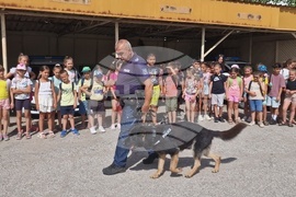 Търговище - пътна полиция - отворени врати