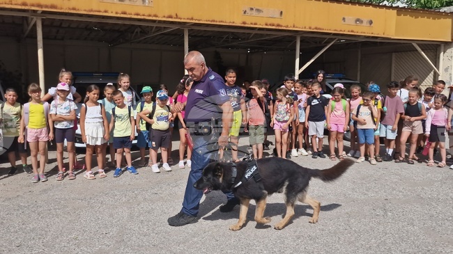 Търговище - пътна полиция - отворени врати