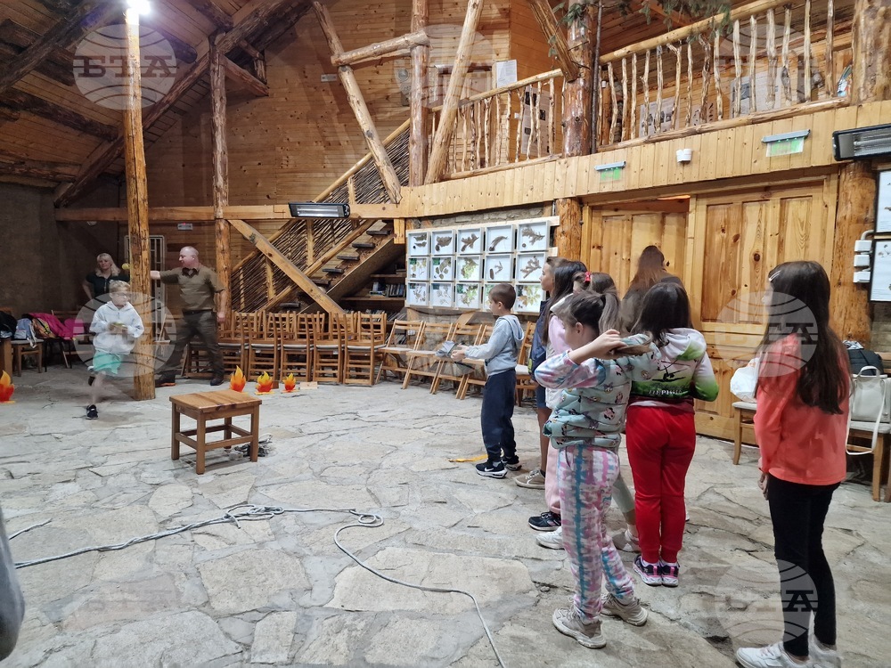 Природен парк "Витоша" - Детски екостационар "Белите брези"
