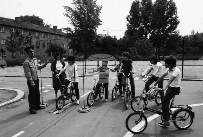 Ден на безопасността на движението по пътищата