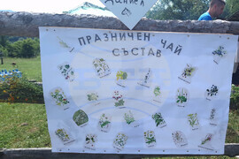 Село Балканец - Празник на билките, планината и туризма