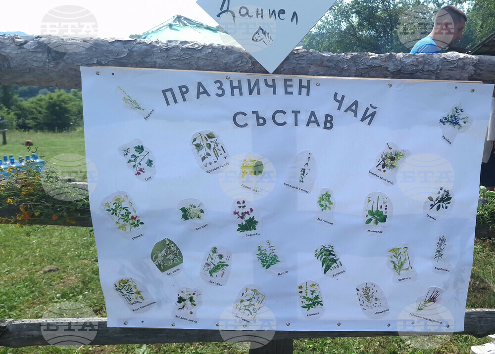 Село Балканец - Празник на билките, планината и туризма