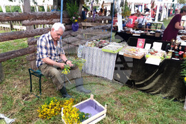 Село Балканец - Празник на билките, планината и туризма