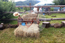 Село Балканец - Празник на билките, планината и туризма