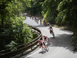 Cycling Tour de France