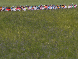 Cycling Tour de France