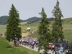 Cycling Tour de France