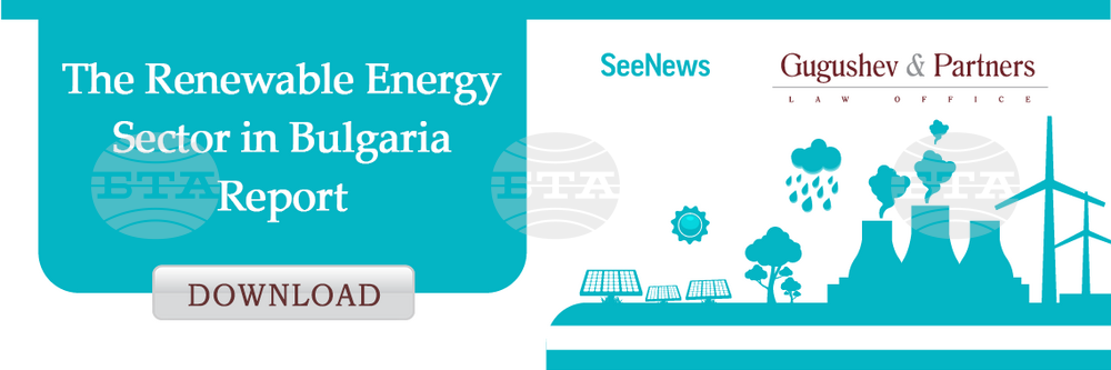 Renewable Energy Sector Net Profit Grows by Record-High 60.4% in 2021