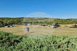 Шумен - Шуменско плато 2024 - състезание