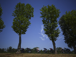 Cycling Tour de France