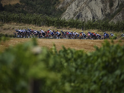 Cycling Tour de France