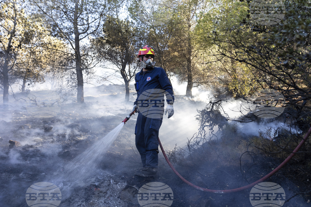 Български пожарникари помагат за гасенето на пожар край Солун
