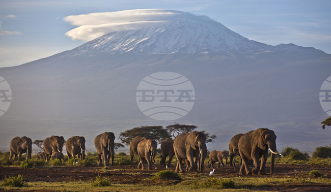 Хеликоптер се разби в планината Килиманджаро в Танзания, при което загинаха пет души, казаха авиационните власти на страната