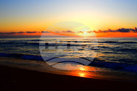 Село Шкорпиловци - Джулай морнинг