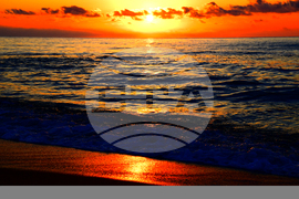 Село Шкорпиловци - Джулай морнинг