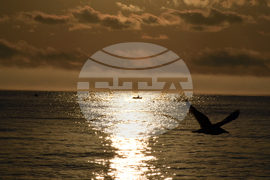 Село Шкорпиловци - Джулай морнинг