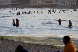 Варна - Джулай морнинг