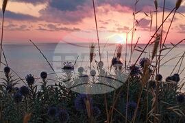 Село Варвара - първи юли - изгрев