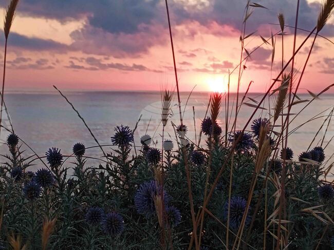 Село Варвара - първи юли - изгрев