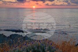 Село Варвара - първи юли - изгрев