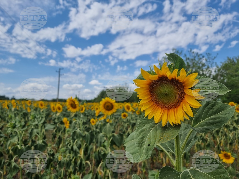 От 1 май започва дейността по охраната на селскостопанската продукция в сливенските села