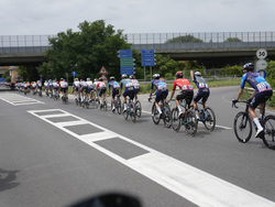 Cycling Tour de France