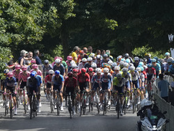 Cycling Tour de France