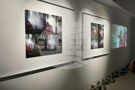 "Контакт" - изложба