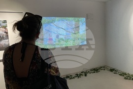 "Контакт" - изложба