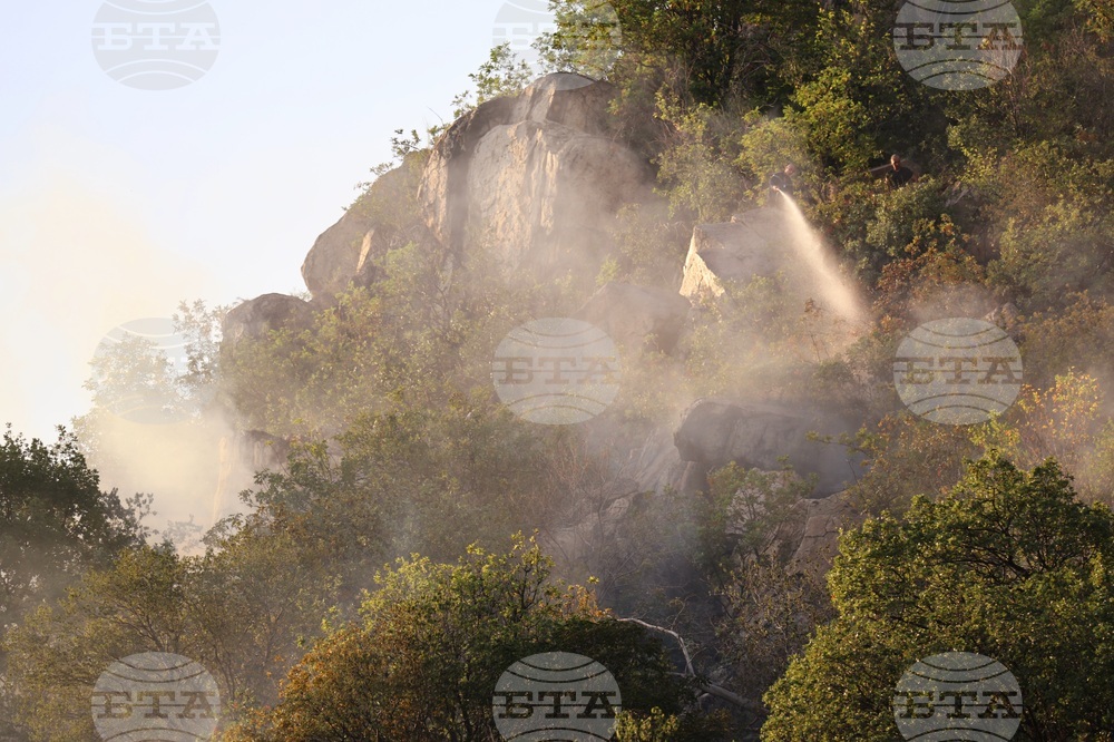 Пловдив - Младежкия хълм - пожар