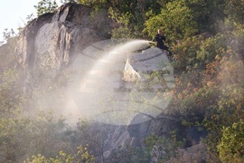 Пловдив - Младежкия хълм - пожар