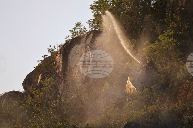  Пловдив - Младежкия хълм - пожар
