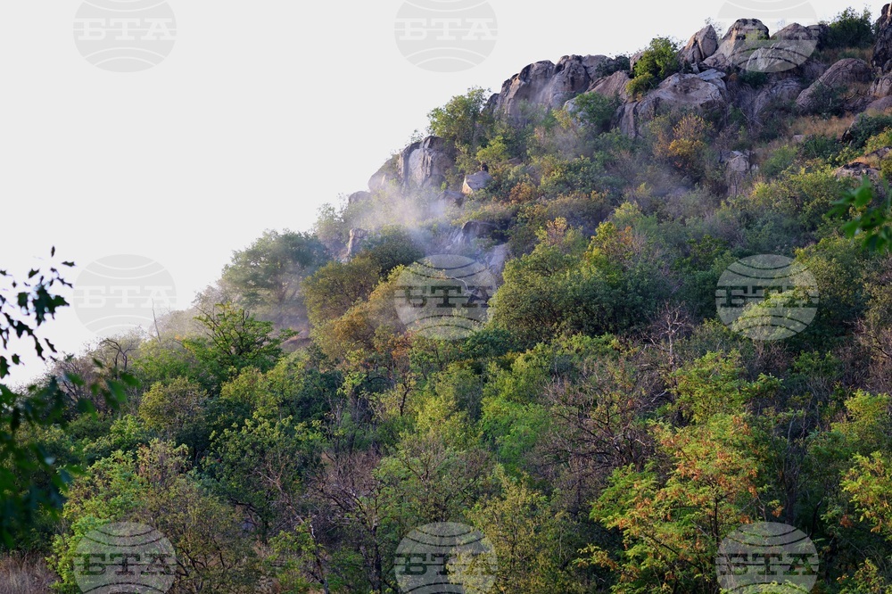 Пловдив - Младежкия хълм - пожар