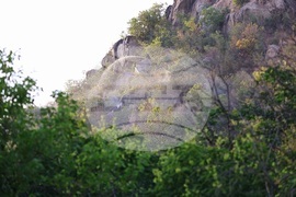 Пловдив - Младежкия хълм - пожар