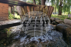 Разлог - валевица - ежедневие