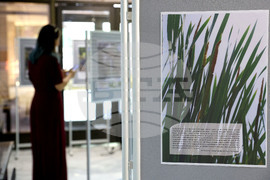 Варна - Регионална библиотека „Пенчо Славейков“ - изложба