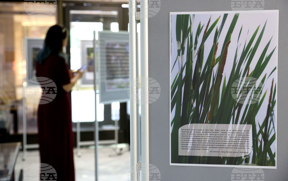 Варна - Регионална библиотека „Пенчо Славейков“ - изложба