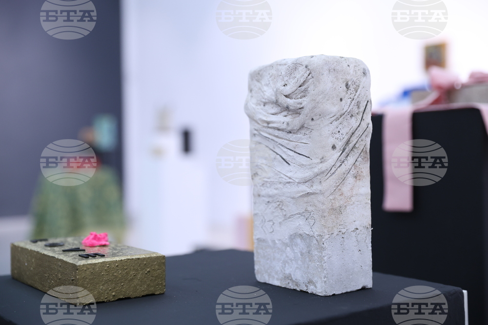 „Тухлата“ - кураторски проект на Христина Бобокова