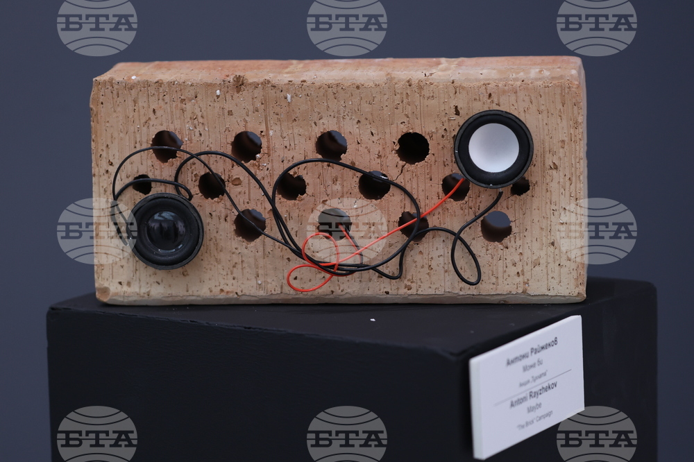 „Тухлата“ - кураторски проект на Христина Бобокова