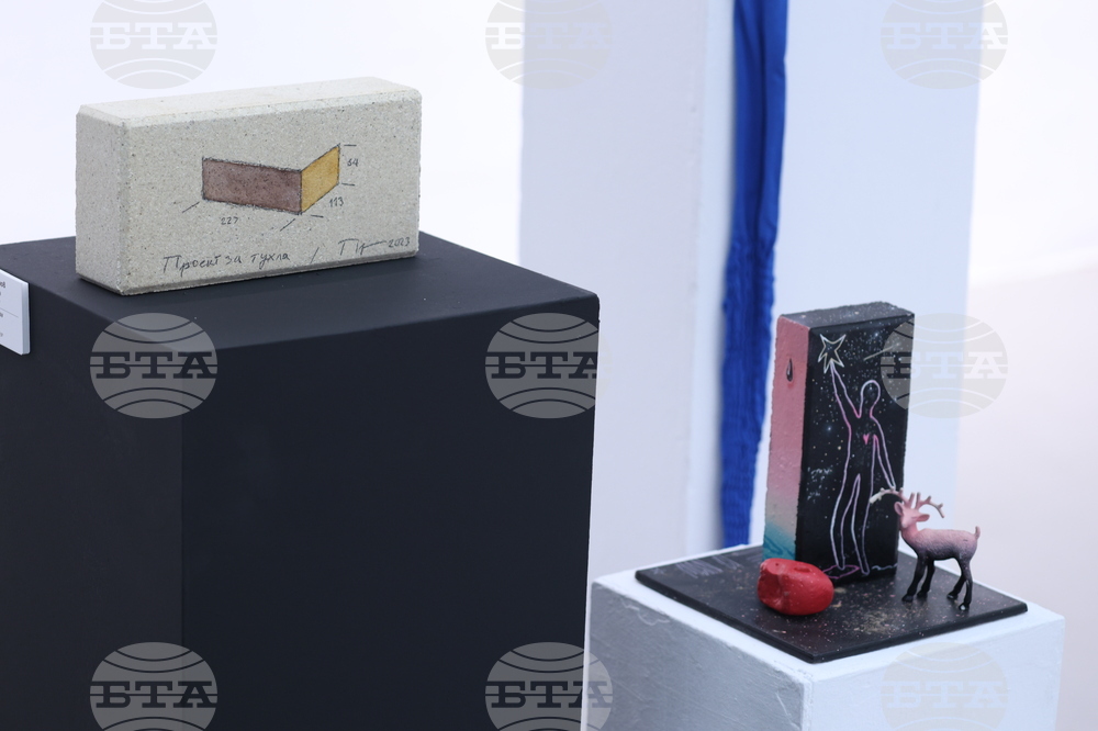 „Тухлата“ - кураторски проект на Христина Бобокова