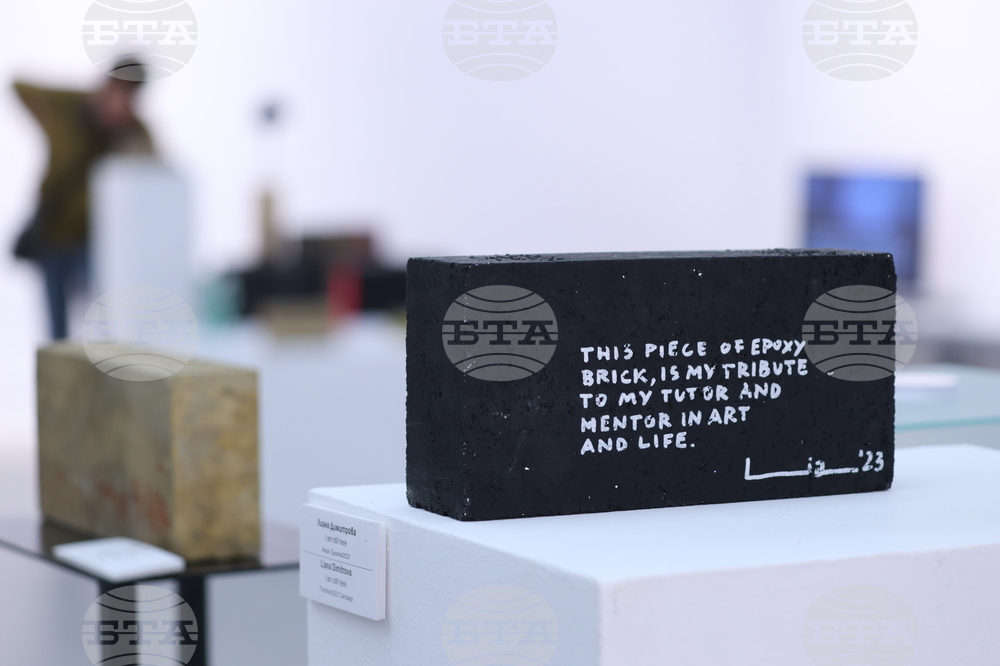 „Тухлата“ - кураторски проект на Христина Бобокова