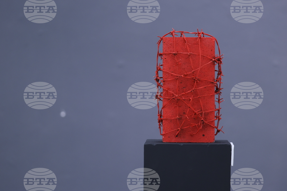 „Тухлата“ - кураторски проект на Христина Бобокова