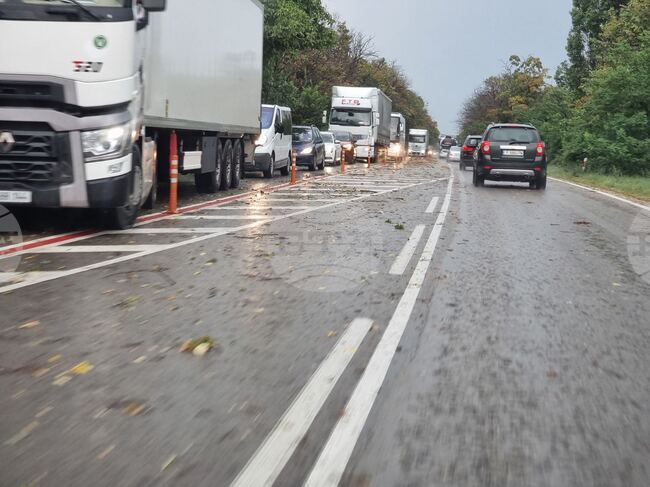 Русе - буря - пътно платно - паднали клони