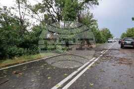 Русе - буря - пътно платно - паднали клони